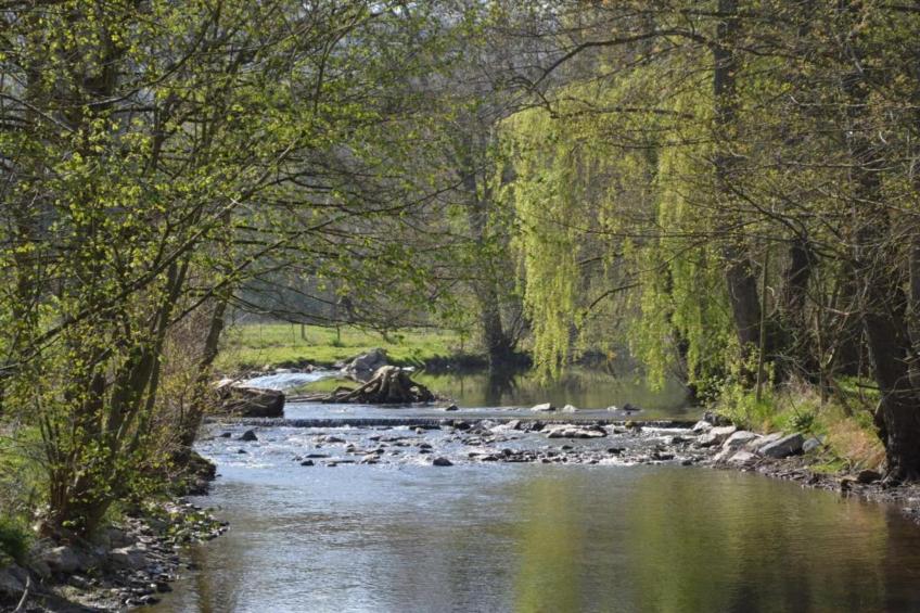 Le Grand Moulin de Denée - foto 29