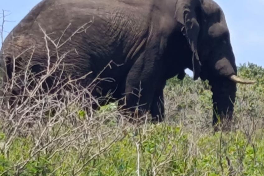 National Park View - foto 30