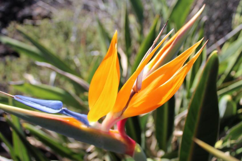 Haus La Majada - foto 25