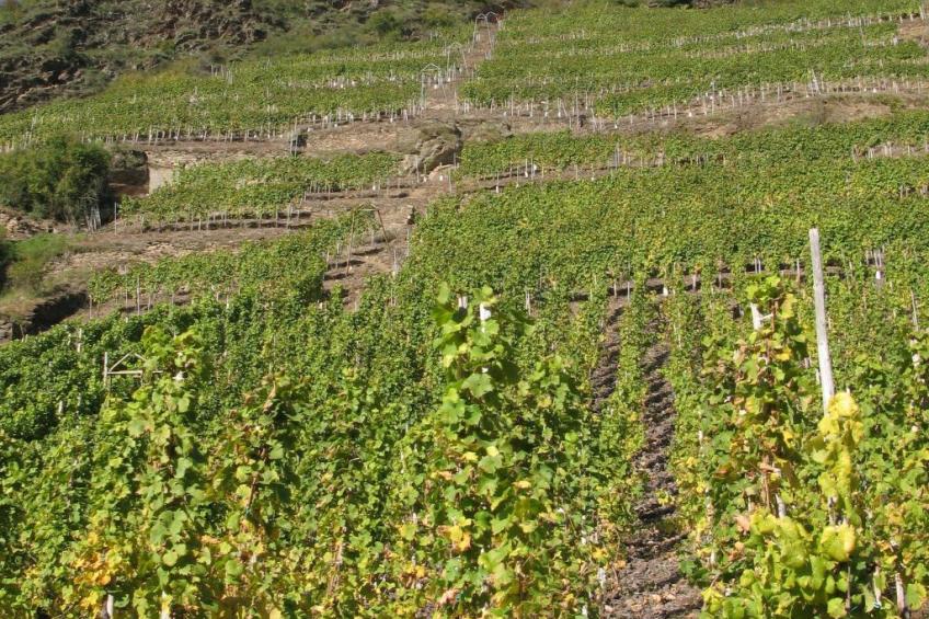 Schneemann - foto 27