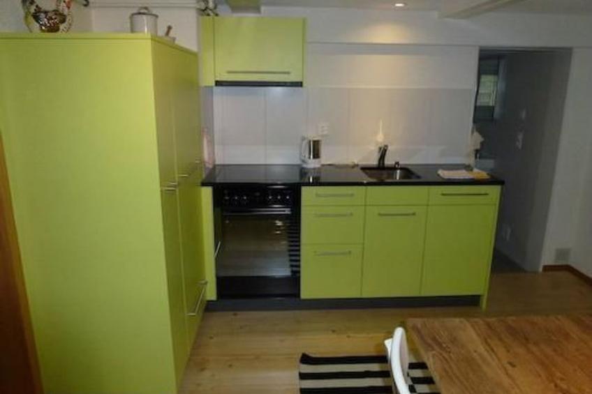 Flädermuus - foto 5