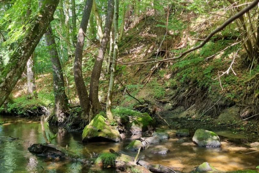 Lublewo21 Ferienhäuser - foto 29