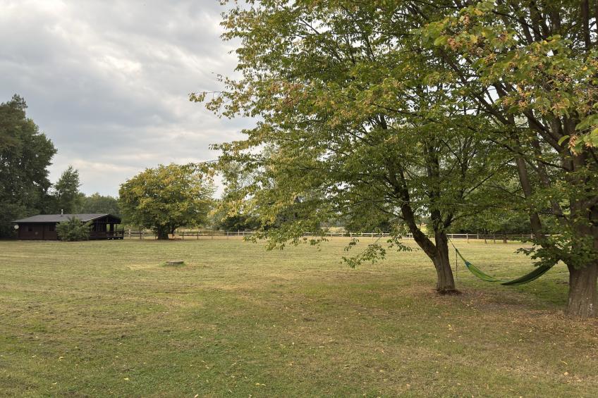 Lüneburger Heide - foto 13