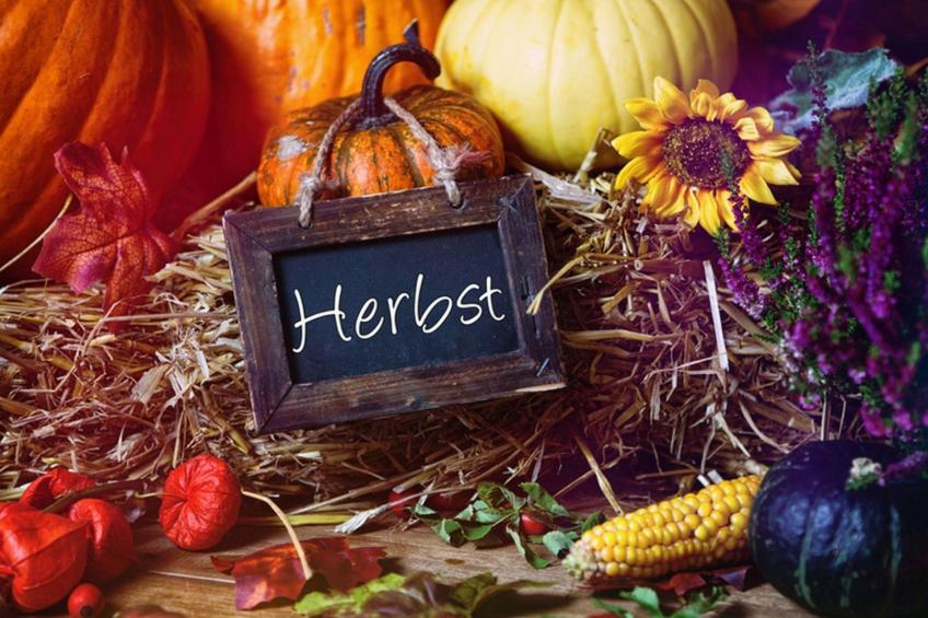 Ruhiges Landhaus mit zwei gemütlichen Wohnungen - foto 24