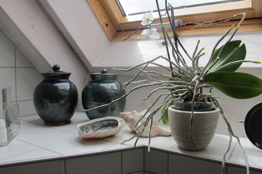 Spessart Bessenbach - foto 11