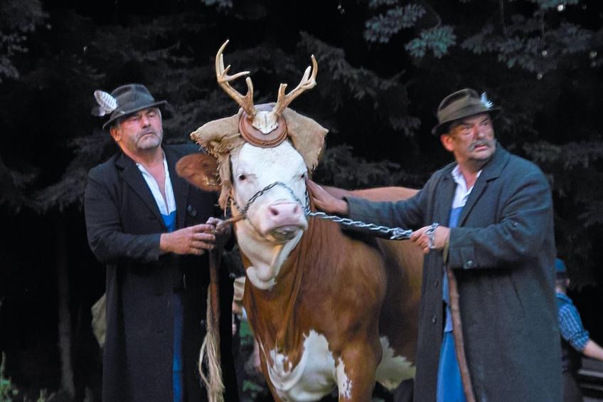 Zur Gradlhöhe - foto 35