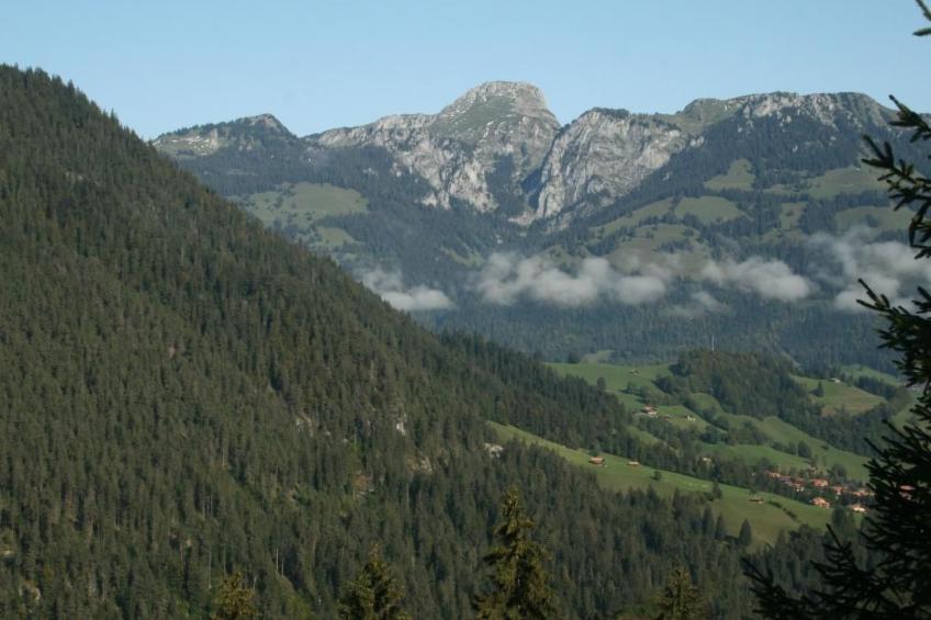 Fewo mit Herz - foto 20