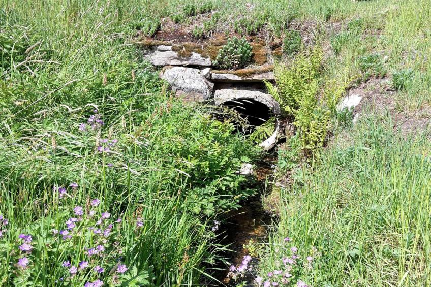 Zuckerbauernhof Weideblick - foto 26