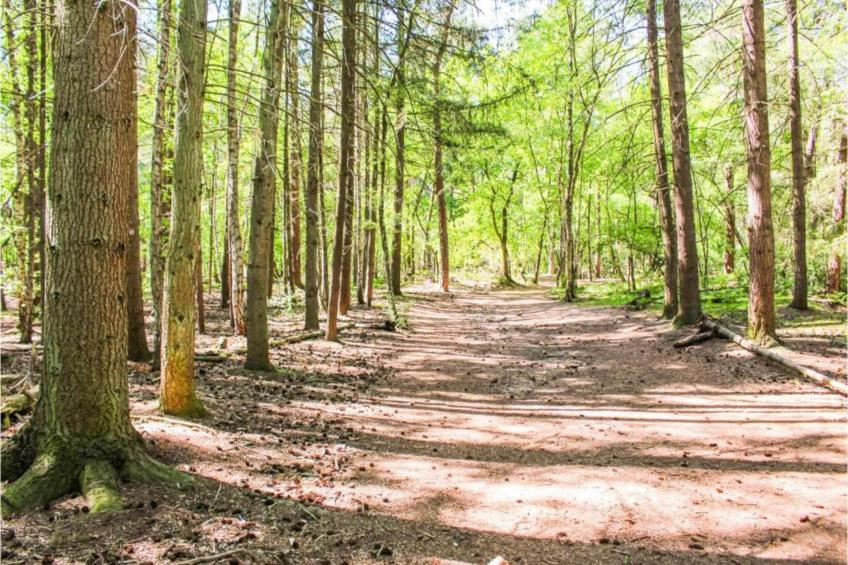 Recreatiepark Duinhoeve 10 - foto 34