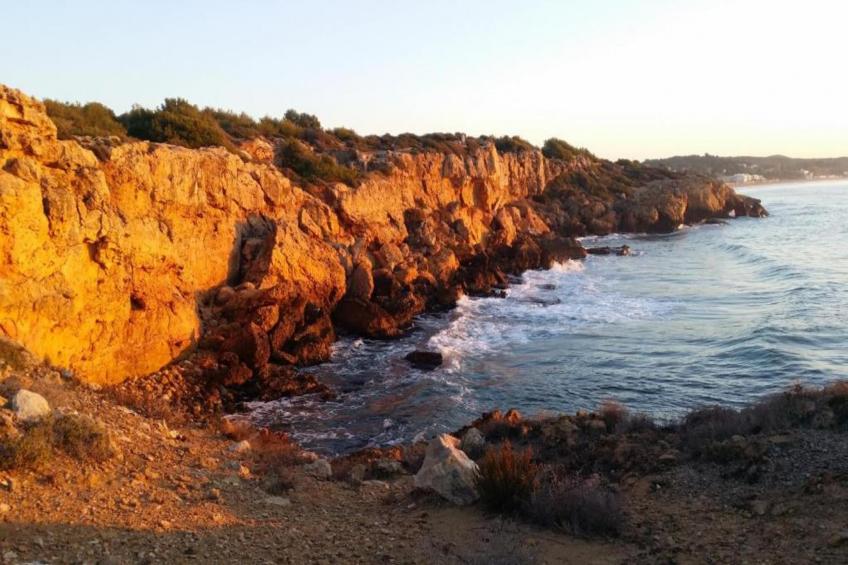 Tamarit Park Resort 2 - foto 35