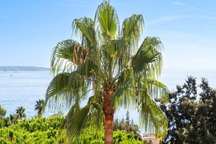 Résidence 4p Vue Mer, Résidence De Standing Avec Piscine & Tennis - foto 48