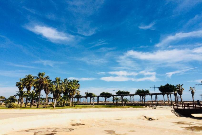 Apartamentos Tamarindos Peñiscola 3 SUPERIOR B - foto 32