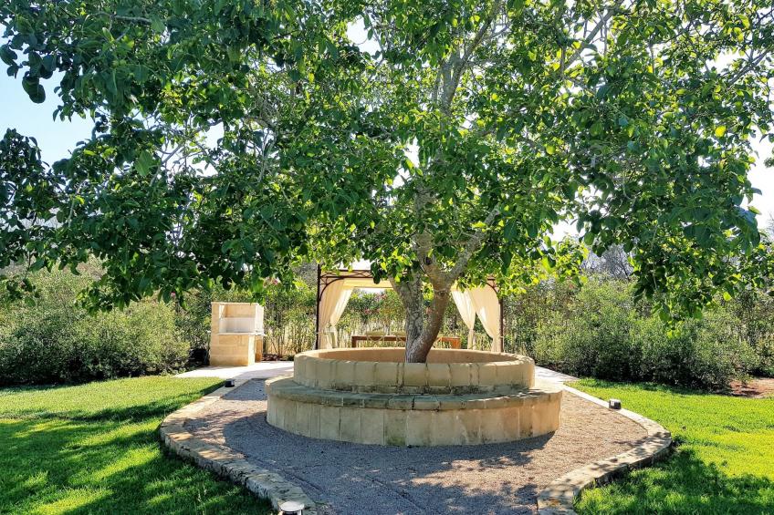 Furneddhri, trullo Fico - foto 11