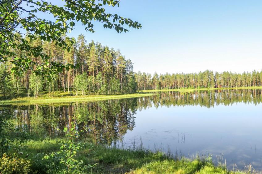 Välikosken karpalo - foto 12