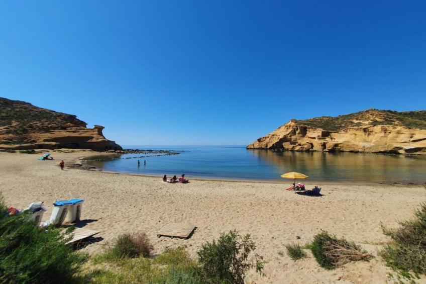 Costa Rey II - foto 40