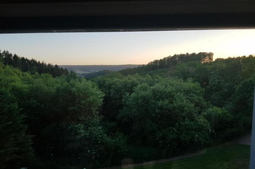 La Belle Reine - foto 36