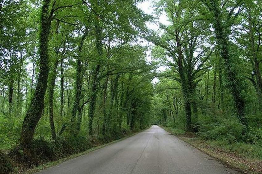 Das Landgut "Casina della Sughera". - foto 22