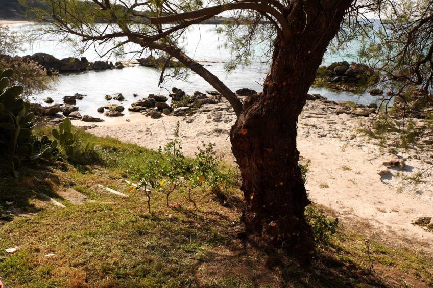 Luxuriöse Strandvilla am Strand in Apulien - foto 35