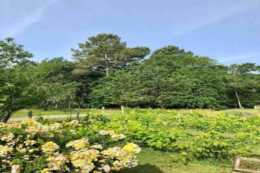 Ecolodge en Sequoia - foto 38