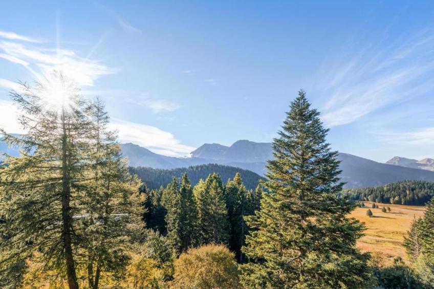 V. du Bachat EPICEA B N°01 - 3P6 - foto 17