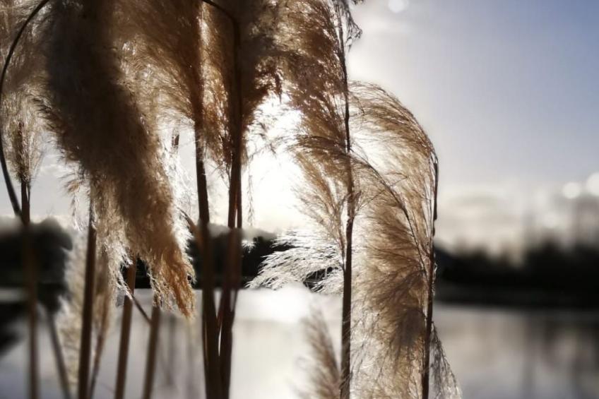 Ferienhaus - foto 31