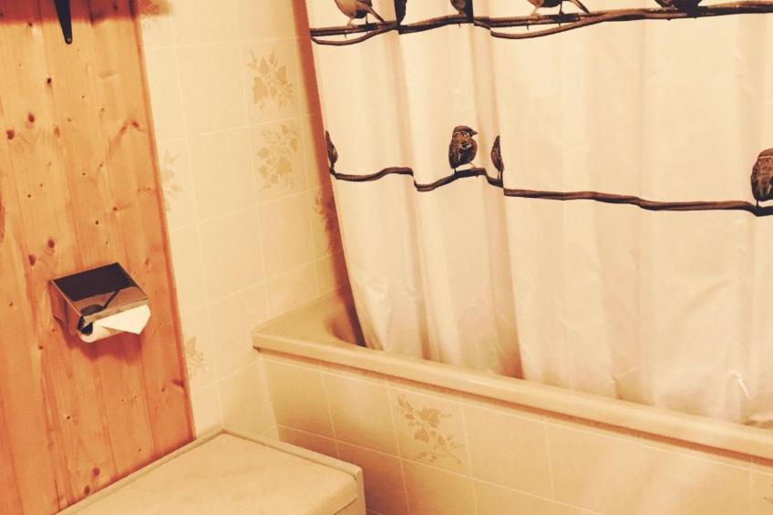 Haus "Nyfeler" Obergeschoss 4-Bettwohnung - foto 15