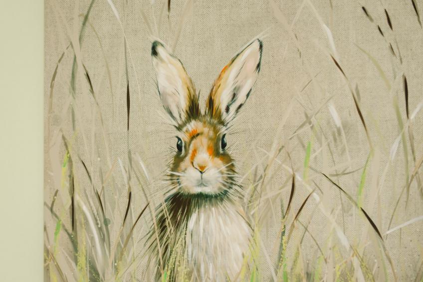 Benderloch House & Frobost Lodge - foto 56