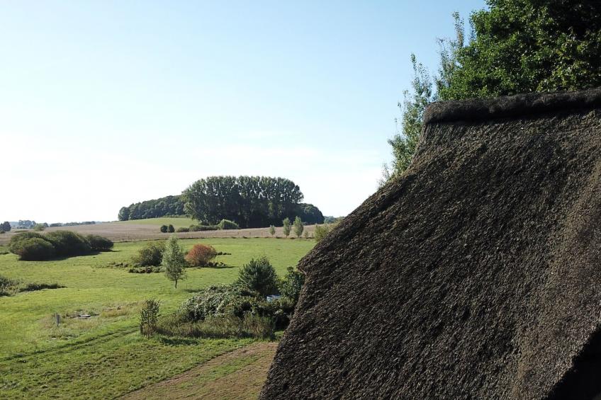 Haus-Zauberblau - foto 10