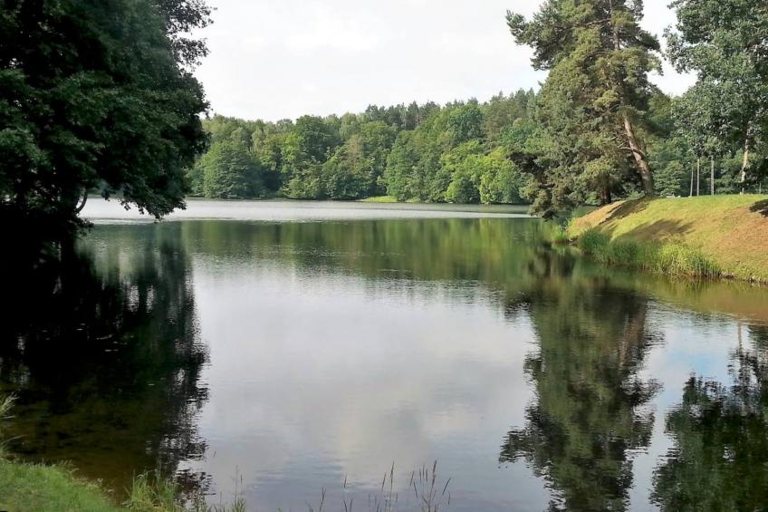 Holiday home in Krzynia - foto 27