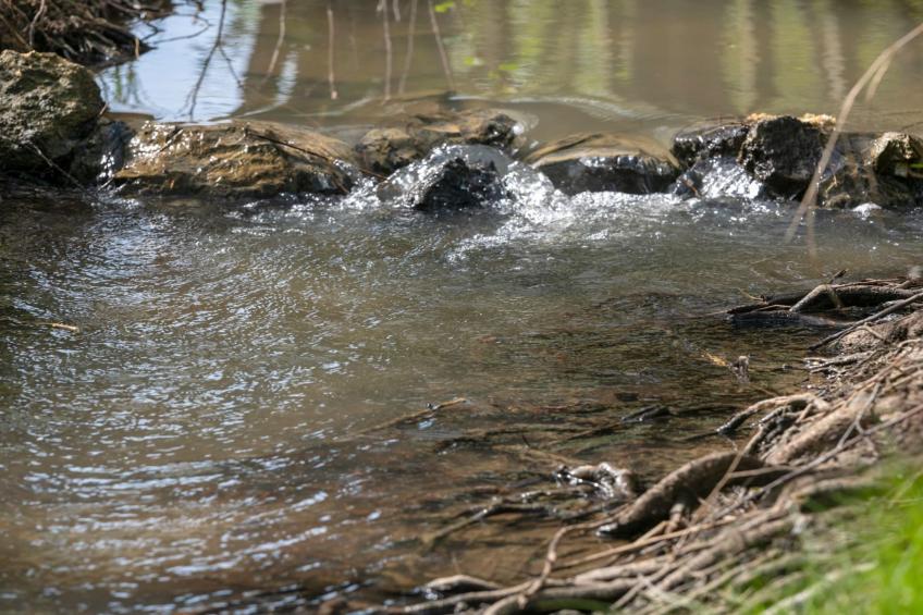 Robinzonski Kamp Hofman - Tent - foto 3