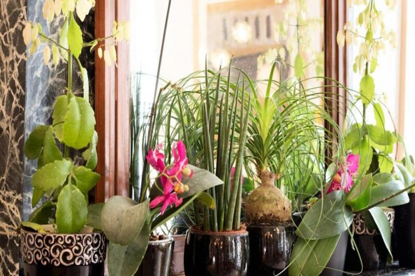 Appartement Privé, Centre Historique La Rochelle - foto 20