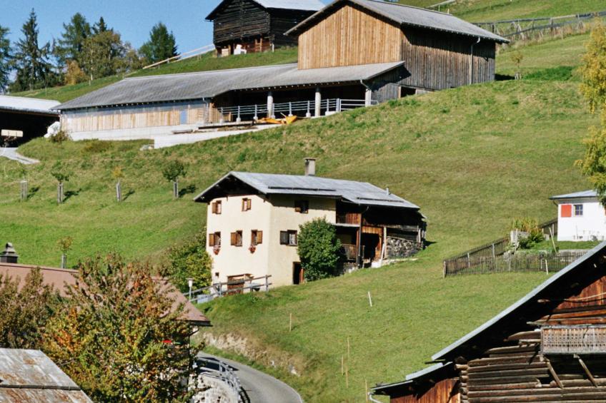Ferienhaus Altes Walserhaus, Brün, (Valendas-Brün), 22004B - foto 2