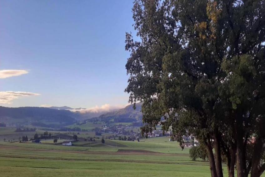 Urlaub auf dem Bauernhof - foto 33