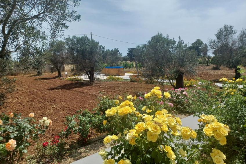 Das "Carolea-Zimmer" zwischen Meer und Landschaft - foto 5