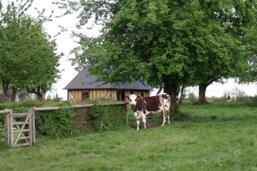 "La Petite Cauvinière" - foto 9