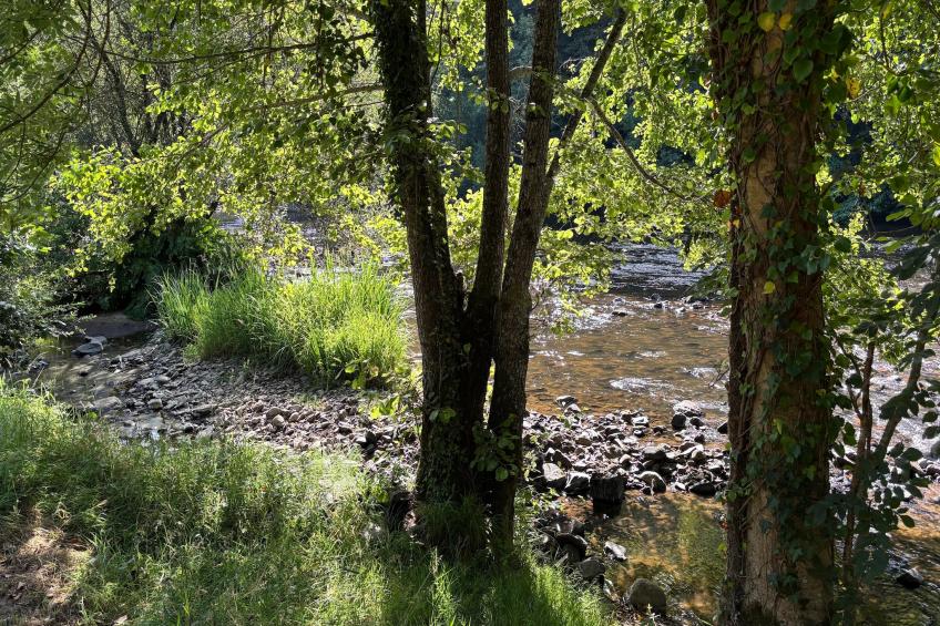 Les Rives de Vézère - foto 52