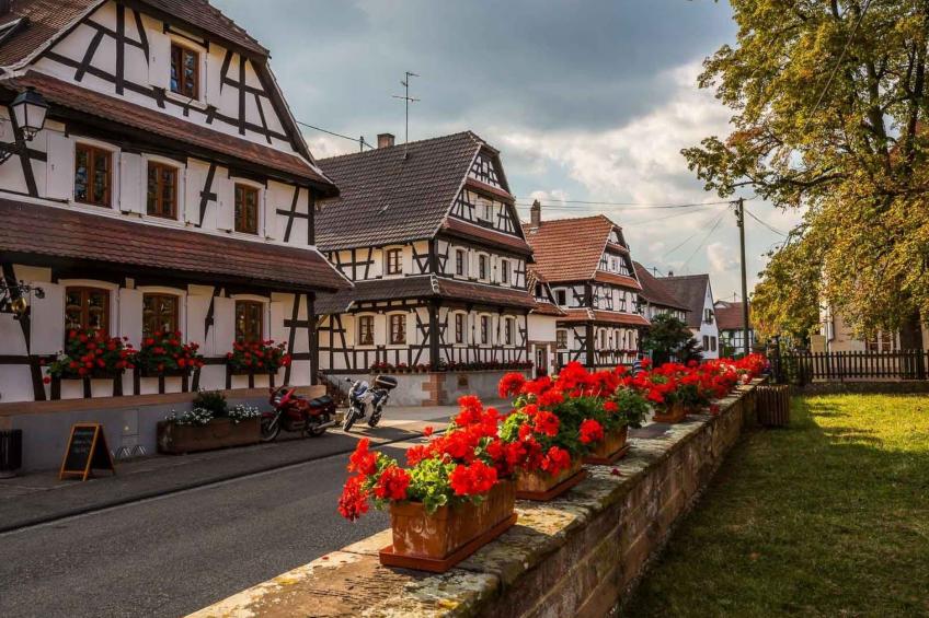 Wohnung "Terre d'Hélène" und Garten - foto 23