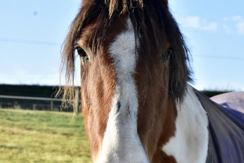 Cheese Room Cottage - foto 5