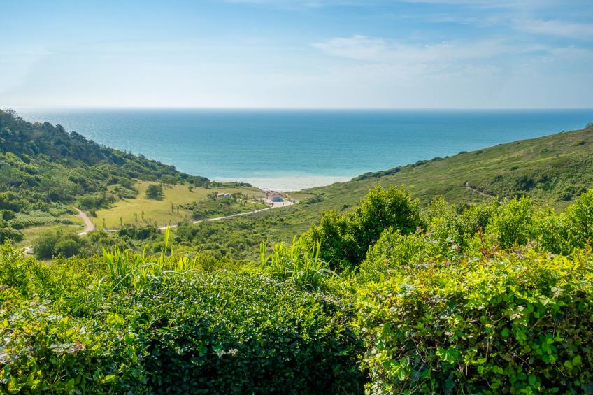 Argi betean - foto 22