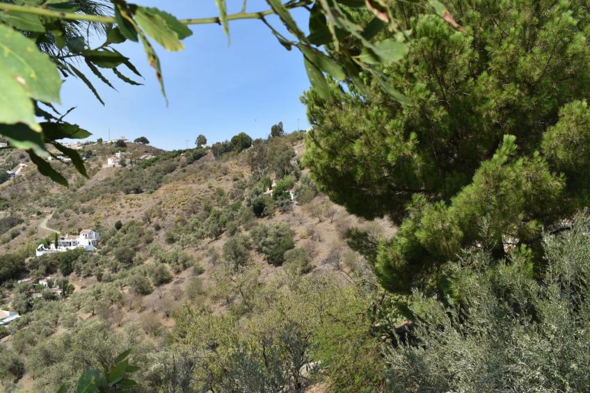 Finca Aguaillo - 20 Minuten zu Fuß ins Dorf - foto 38