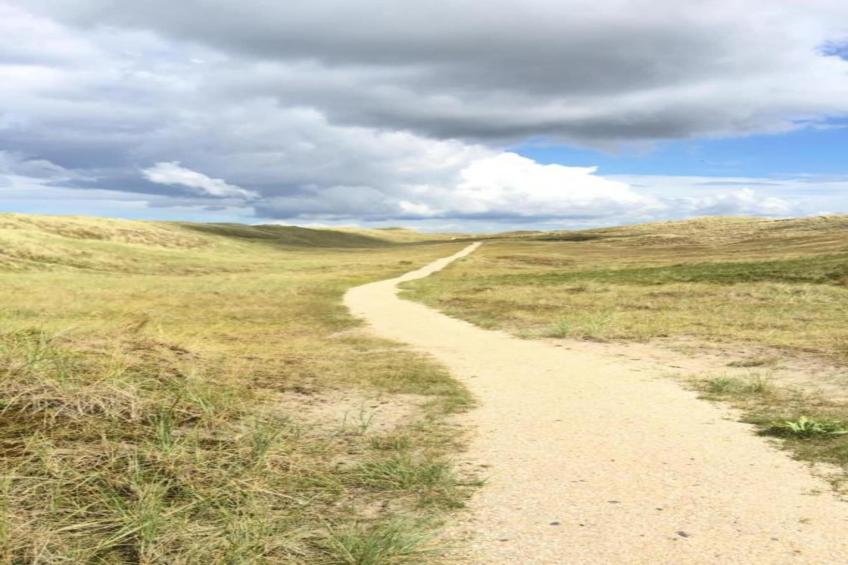 Strandslag 223 - foto 22