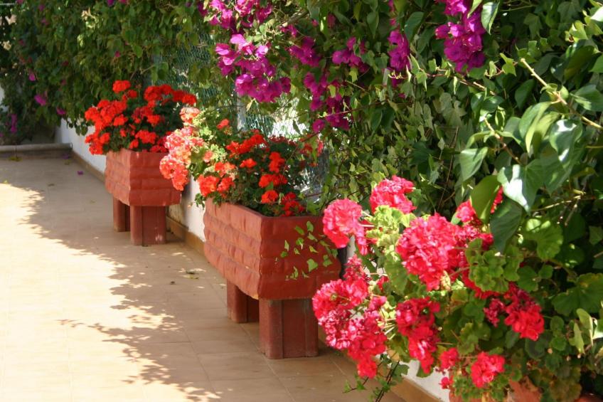 Typisch kanarische Finca Elena mit eigenem Pool - foto 34