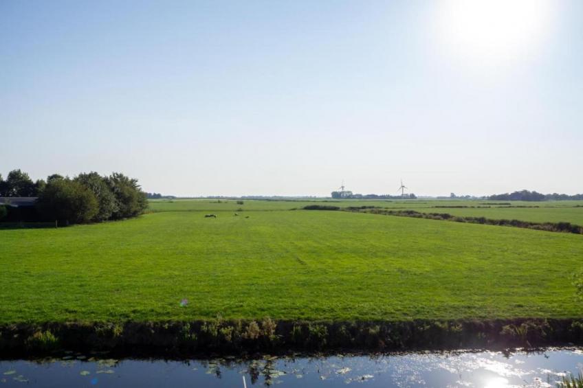 Angema Goet - foto 35