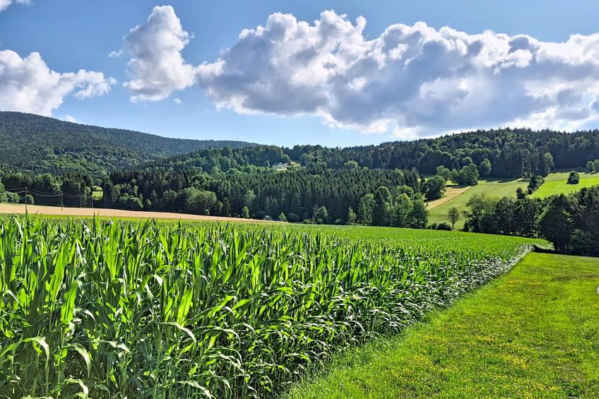 Böhmerwald Pur2 - foto 65