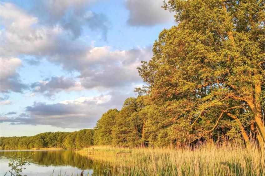 Schlafen unter Reet - Naturhof - Ahlbeck am Haff / Nr 1 - foto 36