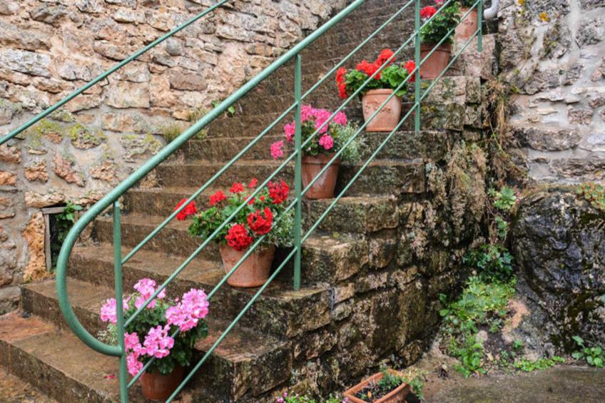 Gîte de France Gîtes de france 3 épis 5 personnes à mativet 3 épis - foto 8