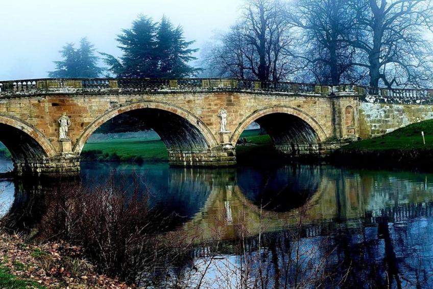 Nelly's Nook - foto 25