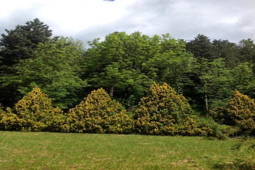 Residence Le Plejadi - foto 35