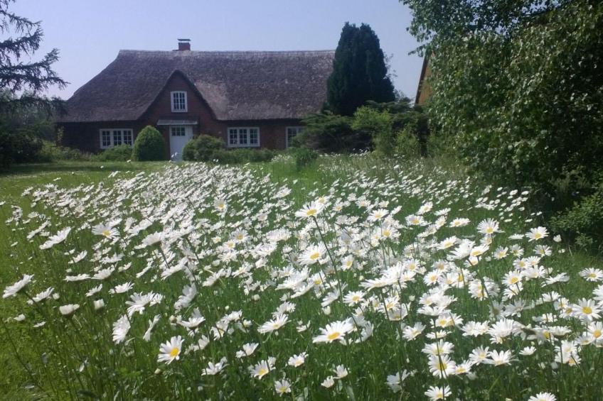 Finkenbusch - foto 20