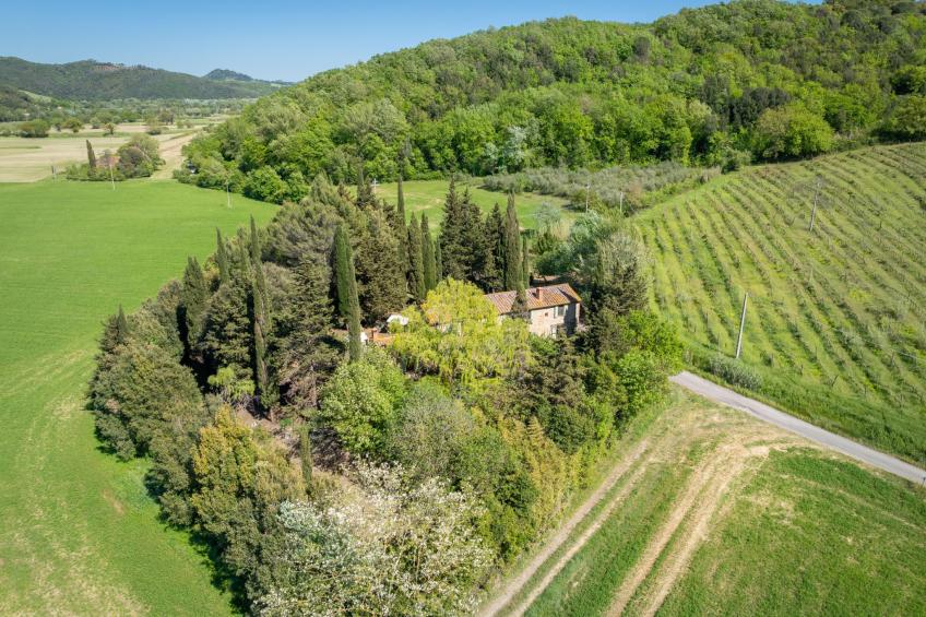 Il Salice - foto 35